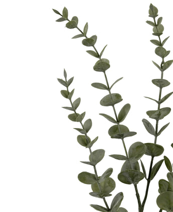 Drei künstliche Blumenstängel Eukalyptus Yugali (71 cm) mit runden grünen Blättern, diagonal auf weißem Hintergrund angeordnet.