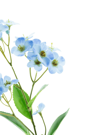 Eine Nahaufnahme der künstlichen Blumenorchidee Real Touch Blue 50 cm mit zarten hellblauen Orchideen mit gelbgrünem Herzen und grünen Blättern vor einem schlichten weißen Hintergrund.
