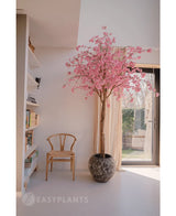 Der künstliche Kirschblüten-Rosabaum 240 cm mit rosa Blüten steht in der Nähe eines Fensters in einem hellen, modernen Raum. In der Nähe steht ein Holzstuhl, links stehen Bücherregale und durch die durchsichtigen Vorhänge fällt Sonnenlicht.