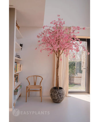 Der künstliche Kirschblüten-Rosabaum 240 cm mit rosa Blüten steht in der Nähe eines Fensters in einem hellen, modernen Raum. In der Nähe steht ein Holzstuhl, links stehen Bücherregale und durch die durchsichtigen Vorhänge fällt Sonnenlicht.