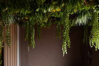 Die künstliche Hecke Lush Deco Deluxe 100 x 100 cm UV verleiht der Decke einen üppigen, grünen Baldachin und bringt lebendiges Laub in einen schummrigen Innenraum mit schlichten braunen Wänden.
