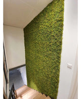 Eine Treppe mit Holzstufen verläuft entlang einer grünen Wand, die mit Kunsthecke Nordic Moss 50x50 cm UV bedeckt ist, und fügt den weißen Wänden und dem modernen, minimalistischen Luxusinterieur des Raums ein natürliches, strukturiertes Element hinzu.