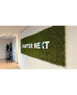 Ein luxuriöser Innenakzent: ein grünes Wanddisplay mit Kunsthaag Nordic Moss 50x50 cm UV-Rahmen, mit „CHAPTER NEXT“ in kräftigen 3D-Buchstaben. Ein mit Pflanzen geschmückter Tisch rundet das raffinierte Ambiente ab.
