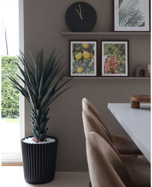 Ein moderner Essbereich mit beigen Stühlen, einem weißen Tisch, einer Wanduhr und einem Regal mit gerahmten Fotos von Zitrone und Blättern. Die große Kunstpflanze Agave Pandora UV 120 cm sorgt für viel Grün. Natürliches Licht fällt von der linken Seite ein.