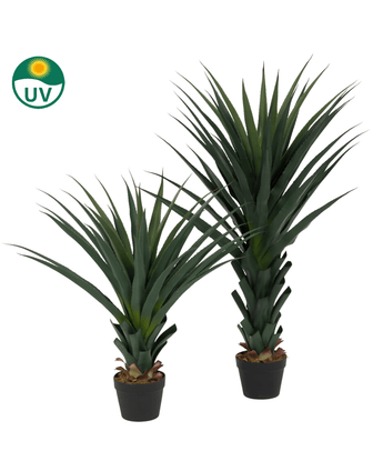 Die Kunstpflanze Agave Pandora UV 85 cm besteht aus zwei künstlichen Agavenpflanzen mit dunkelgrünen, stacheligen Blättern in einem schwarzen Topf. In der oberen linken Ecke befindet sich ein UV-Schutz-Symbol auf weißem Hintergrund.