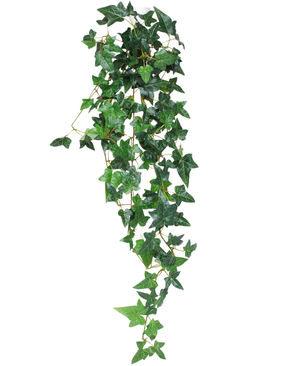 Die künstliche Hängepflanze Ivy Boston 100 cm grün hat spitze grüne Efeublätter an dünnen Stielen, die vor einem weißen Hintergrund herunterfallen.