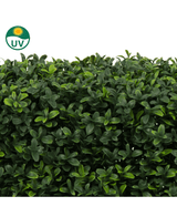 Die künstliche Buchsbaumhecke UV 70x20x50 cm ist eine dichte künstliche grüne Hecke mit kleinen, glänzenden Blättern. Ein UV-geschütztes Symbol oben links weist darauf hin, dass es resistent gegen Sonnenlicht ist. Der Hintergrund ist schlicht weiß.