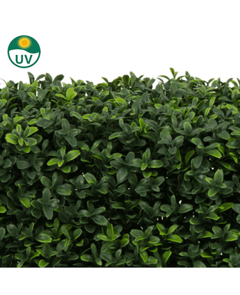 Die künstliche Buchsbaumhecke UV 70x20x50 cm ist eine dichte künstliche grüne Hecke mit kleinen, glänzenden Blättern. Ein UV-geschütztes Symbol oben links weist darauf hin, dass es resistent gegen Sonnenlicht ist. Der Hintergrund ist schlicht weiß.