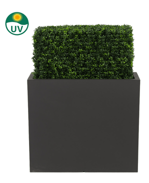 Die künstliche Buchsbaumhecke UV 70x20x50 cm ist eine rechteckige, UV-geschützte grüne Buchsbaumhecke aus Kunststoff in einem hohen, schwarzen Pflanzgefäß, dargestellt vor einem weißen Hintergrund mit einem UV-Symbol, das ihre Sonnenbeständigkeit hervorhebt.