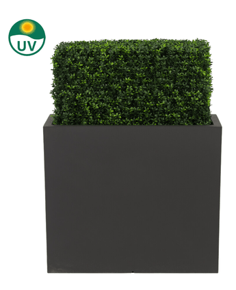 Die künstliche Buchsbaumhecke UV 70x20x50 cm ist eine rechteckige, UV-geschützte grüne Buchsbaumhecke aus Kunststoff in einem hohen, schwarzen Pflanzgefäß, dargestellt vor einem weißen Hintergrund mit einem UV-Symbol, das ihre Sonnenbeständigkeit hervorhebt.