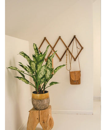 Eine Kunstpflanze Dieffenbachia UV 75 cm in einem stilvollen Topf steht auf einem rustikalen Holzhocker in einem minimalistischen Raum. Dahinter beherbergt eine ausklappbare Holzgarderobe eine braune Ledertasche und eine Wandkette.
