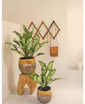 Zwei Kunstpflanzen Dieffenbachia UV 75 cm mit bunten Blättern stehen in gelben und steinernen Dekotöpfen – einer auf einem Holzhocker, einer auf dem Boden. Dahinter hängt in diesem hellen, minimalistischen Raum eine braune Ledertasche an einem Akkordeon-Wandregal aus Holz.