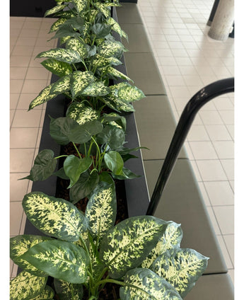 Eine Kunstpflanze Dieffenbachia UV 75 cm mit bunten grünen Blättern steht in stilvollen Dekotöpfen neben einem Fliesenboden und einem Sofa in einem hellen Innenraum.