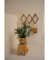 Die Kunstpflanze Dracaena Reflexa im UV-Topf 63 cm schmückt einen minimalistischen Raum mit weißen Wänden, platziert auf einem Naturholzhocker. Ein Wandregal aus Holz an der Rückseite bietet Platz für eine kleine braune Tasche und cremefarbene Stoffe für ein tropisches Interieur.