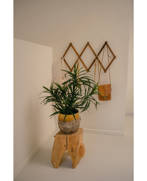 Die Kunstpflanze Dracaena Reflexa im UV-Topf 63 cm schmückt einen minimalistischen Raum mit weißen Wänden, platziert auf einem Naturholzhocker. Ein Wandregal aus Holz an der Rückseite bietet Platz für eine kleine braune Tasche und cremefarbene Stoffe für ein tropisches Interieur.