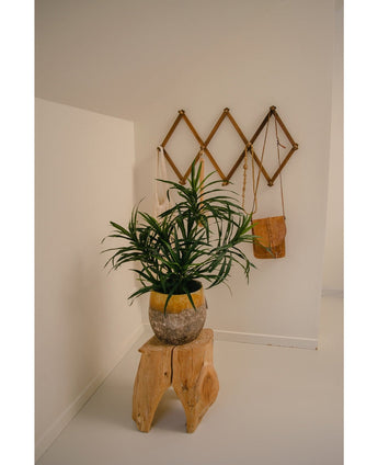Die Kunstpflanze Dracaena Reflexa im UV-Topf 63 cm schmückt einen minimalistischen Raum mit weißen Wänden, platziert auf einem Naturholzhocker. Ein Wandregal aus Holz an der Rückseite bietet Platz für eine kleine braune Tasche und cremefarbene Stoffe für ein tropisches Interieur.
