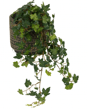Der künstliche Efeu Deluxe Green 60 cm besteht aus üppig grünen, glänzenden, gelappten Efeublättern, die über einen dekorativ gemusterten Topf vor einem weißen Hintergrund fallen.