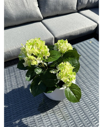 Die künstliche Hortensie Green UV 35 cm mit hellgrünen Blüten steht auf einem grauen Korbtisch im Freien vor einem grauen Sofa mit Kissen. Sonnenlicht beleuchtet die künstliche Pflanze und wirft Schatten auf den Tisch.