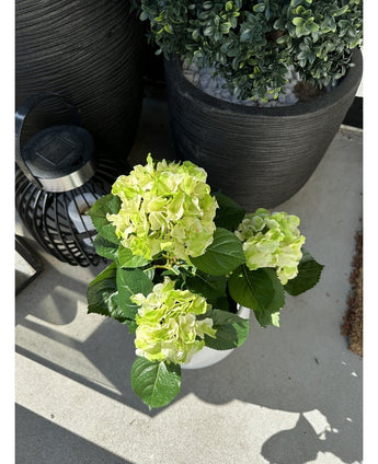 Die Kunstpflanze Hydrangea Green UV 35 cm mit hellgrünen Blüten steht auf einer sonnigen Terrasse neben einer schwarzen Laterne und einem großen Pflanzgefäß mit bunten Blättern, das helle Schatten auf den Betonboden wirft.