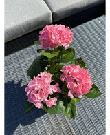Die Kunstpflanze Hortensie Pink UV 35 cm mit drei rosa Hortensienblüten und grünen Blättern steht auf einem geflochtenen grauen Outdoor-Tisch, im Hintergrund ein graues Sofa mit Kissen.