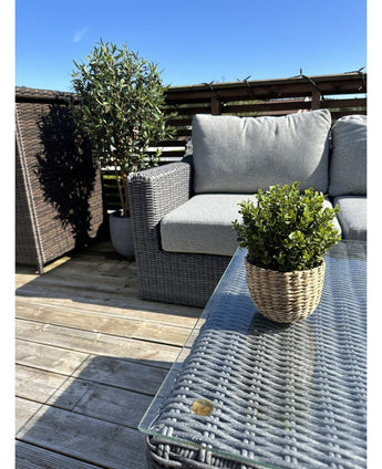 Eine Terrasse mit einer grauen Korbbank und einem Tisch, mit einer künstlichen grünen Buchsbaumpflanze in einem 19-cm-UV-Topf auf dem Tisch und einer größeren Topfpflanze neben der Bank, alles unter einem klaren blauen Himmel.