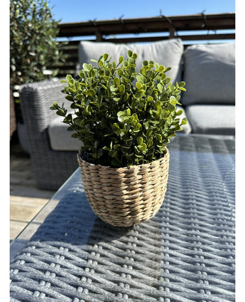 Die Kunstpflanze Buxus grün im UV-Topf 19 cm mit grünen Blättern in einem weidenkorbförmigen Topf steht auf einem Glastisch im Freien mit Terrassenmöbeln und einem Holzgeländer, das unter einem klaren blauen Himmel sichtbar ist.