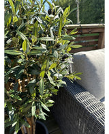 Der künstliche Olivenbaum UV 120 cm mit grünen Blättern und schwarzen Oliven steht neben einem grauen Outdoor-Sofa aus Korbgeflecht auf einer sonnigen Terrasse mit Holzbalustrade.