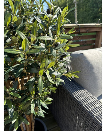 Der künstliche Olivenbaum UV 120 cm mit grünen Blättern und schwarzen Oliven steht neben einem grauen Outdoor-Sofa aus Korbgeflecht auf einer sonnigen Terrasse mit Holzbalustrade.