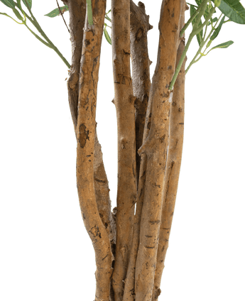 Nahaufnahme mehrerer brauner Stämme mit rauer Rinde und einigen grünen Blättern vor einem schlichten weißen Hintergrund, mit dem künstlichen Olivenbaum UV 120 cm: eine pflegeleichte, UV-beständige Kunstpflanze für dauerhafte Schönheit im Innen- und Außenbereich.