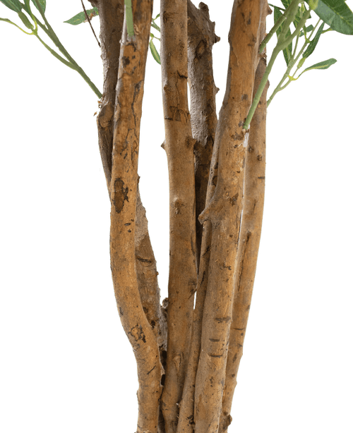 Nahaufnahme mehrerer brauner Stämme mit rauer Rinde und einigen grünen Blättern vor einem schlichten weißen Hintergrund, mit dem künstlichen Olivenbaum UV 120 cm: eine pflegeleichte, UV-beständige Kunstpflanze für dauerhafte Schönheit im Innen- und Außenbereich.