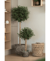 Zwei künstliche Olivenbäume UV 150 cm in einem Topf mit rundem grünem Blattwerk stehen neben einem geflochtenen Korb und einem Holzregal in einem hellen, modernen Interieur.