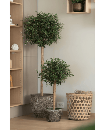 Zwei künstliche Olivenbäume UV 150 cm in einem Topf mit rundem grünem Blattwerk stehen neben einem geflochtenen Korb und einem Holzregal in einem hellen, modernen Interieur.