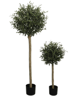 Der künstliche Olivenbaum UV 150 cm ist ein künstlicher Olivenbaum im Topf mit einer runden, blattgrünen Spitze und einem langen, dünnen Stamm. UV-beständig und in einem schwarzen Topf präsentiert, hebt es sich von einem schlichten weißen Hintergrund ab.