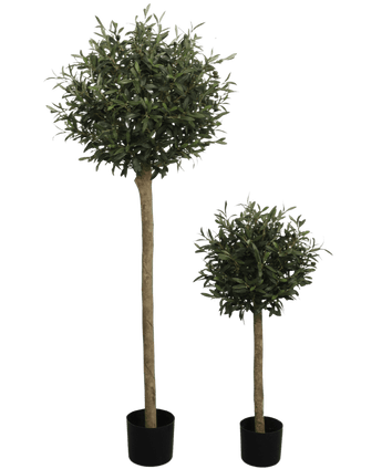 Der künstliche Olivenbaum UV 150 cm ist ein künstlicher Olivenbaum im Topf mit einer runden, blattgrünen Spitze und einem langen, dünnen Stamm. UV-beständig und in einem schwarzen Topf präsentiert, hebt es sich von einem schlichten weißen Hintergrund ab.