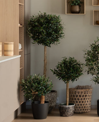 Eine 60 cm große künstliche Olivenpflanze vom Typ Olive Mount UV mit runder, belaubter Oberseite verleiht einem modernen, minimalistischen Raum wartungsfreies Grün, platziert in der Nähe von Holzregalen und Weidenkörben.