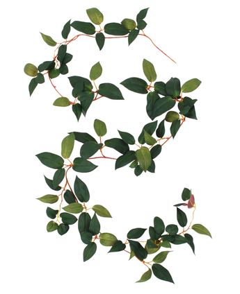 Das Bild zeigt die Art Tradescantia Girlande Grün 180 cm in S-Form mit grünen Blättern und dünnen, rötlichen Stielen vor weißem Hintergrund.