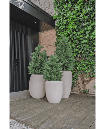 Drei große beige Pflanzgefäße mit künstlichen Conifer Deluxe UV 120 cm-Sträuchern stehen auf einer Holzterrasse in der Nähe einer schwarzen Tür und einer mit Efeu bedeckten Wand und bieten UV-Schutz für dauerhafte Schönheit in Ihrem Kunstpflanzengarten.