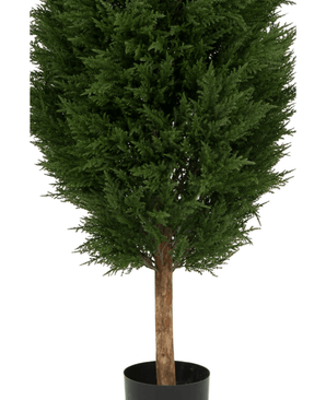 Die Kunstpflanze Konifere UV 180 cm ist ein künstlicher grüner Baum im Topf mit dichten dunkelgrünen Blättern und einem braunen Stamm, präsentiert in einem schlichten schwarzen Topf vor weißem Hintergrund.