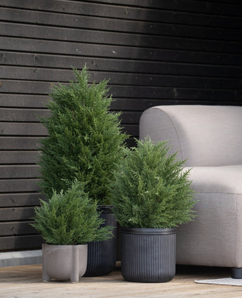 Auf einer Holzterrasse neben einer hellgrauen Außenbank und einer dunklen Holzwand stehen drei künstliche Pflanzen Conifer deluxe UV 60 cm – perfekt für die Gestaltung eines grünen Gartens mit pflegeleichten Kunstpflanzen im Freien.