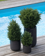 Drei Kunstpflanzen Konifere Deluxe UV 60 cm in schwarzen gerippten Pflanzgefäßen bringen Grün auf Ihre Holzterrasse am blauen Pool – ideal für einen grünen Garten mit stilvollen, wetterbeständigen Kunstpflanzen im Freien.