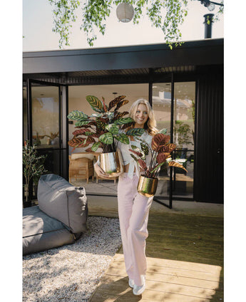 Eine lächelnde Frau steht auf einer Holzterrasse vor einem modernen Haus mit zwei künstlichen roten Calathea Makoyana UV-Pflanzen (60 cm) mit bunten Blättern. Sie trägt hellrosa Hosen und ein weißes Top; Im Hintergrund sind Gartenmöbel zu sehen.
