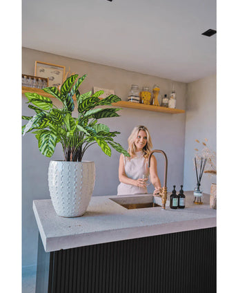 Eine Frau lächelt auf eine moderne Küchentheke, die Hand unter dem Wasserhahn. Im Vordergrund auf der Theke steht die Kunstpflanze Calathea Makoyana Deluxe UV 75 cm. Im Hintergrund sind offene Regale mit Töpfen und Dekoartikeln ausgestellt.