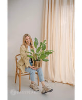 Eine lächelnde Frau sitzt auf einem Holzstuhl mit der Kunstpflanze Calathea Makoyana 60 cm in einem Designtopf. Sie trägt einen beigen Blazer, helle Jeans und Turnschuhe. Lichtvorhänge im Hintergrund verstärken das minimalistische und helle Erscheinungsbild des Raumes.