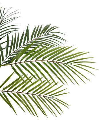 Nahaufnahme der künstlichen Palme Chamaedorea 83 cm mit grünen, schlanken Blättern vor weißem Hintergrund, die für einen natürlichen und tropischen Look sorgen.
