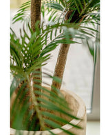 Close-up van een Kunstpalm Cycas Classic 135 cm met slanke stammen en weelderig groene bladeren, tentoongesteld in een elegante sierpot bij een raam met zacht natuurlijk licht.