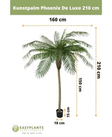 Künstliche Palme Phoenix De Luxe 210 cm: Künstliche Palme, maximale Breite 160 cm, Stammhöhe 150 cm, Topfgröße H15xØ18 cm. Branding und niederländischer Text sind sichtbar.