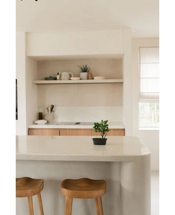Eine minimalistische Küche mit hellen Wänden und Schränken, offenen Regalen mit Tellern und einer Pflanze, zwei Holzhockern neben einer geschwungenen Insel und der künstlichen Pflanze Bonsai Ficus 30 cm auf der Theke neben einem hellen Fenster.