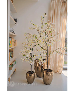Eine 150 cm hohe künstliche Bougainvillea-Pflanze steht in einem dekorativen Goldtopf neben einem sonnendurchfluteten Fenster mit beigen Vorhängen und verleiht dem gemütlichen Raum Eleganz. In der Nähe befindliche Bücherregale verstärken die einladende Innenatmosphäre.