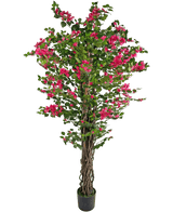 Die künstliche Bougainvillea 180 cm ist eine hohe Kunstpflanze mit gedrehten braunen Stielen, leuchtend grünen Blättern und leuchtend rosa Blütensträußen in einem Topf.
