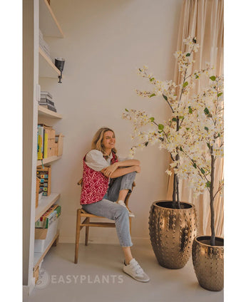 Eine Person sitzt lächelnd auf einem Holzstuhl neben der künstlichen Bougainvillea 180 cm weiß in einem goldfarbenen Topf mit Textur. Auf der linken Seite befindet sich ein Bücherregal mit Büchern und Dekoration. Durch ein Fenster auf der rechten Seite strömt Tageslicht herein.